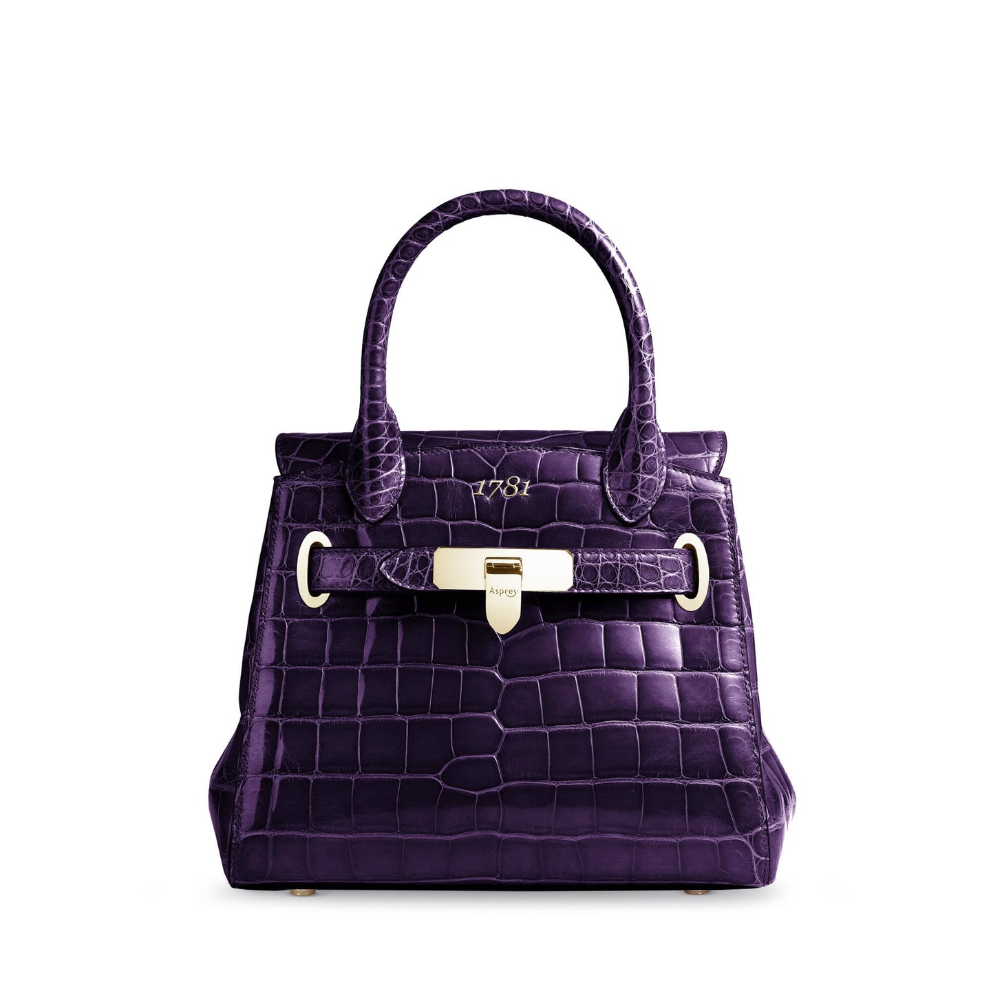 1781 Mini Handbag in Crocodile